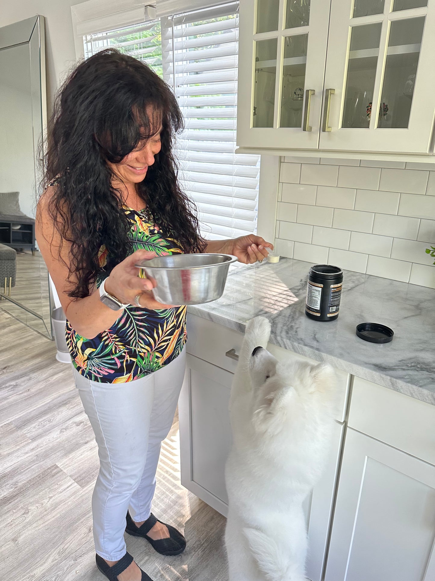 Fetch Dog Food Supplement