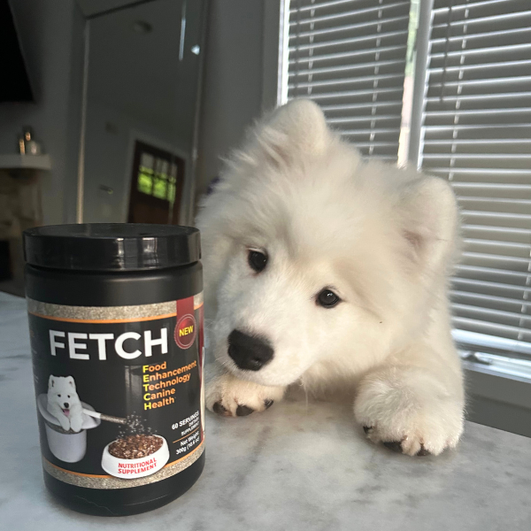 Fetch Dog Food Supplement