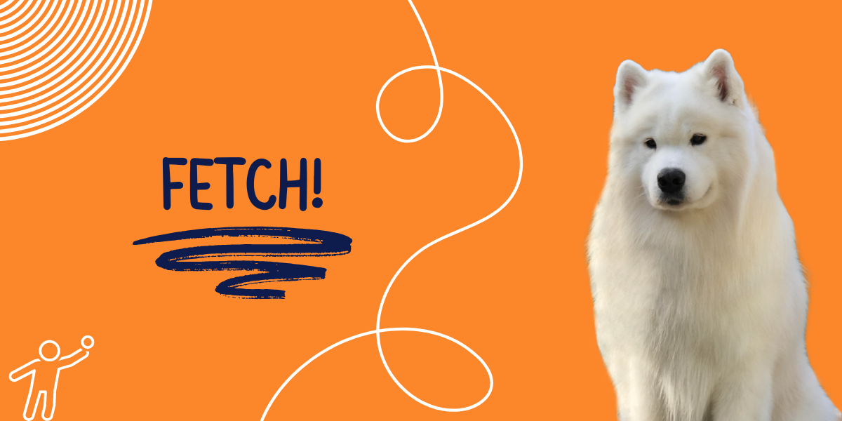 Premium AllNatural Dog Food Supplement Fetch