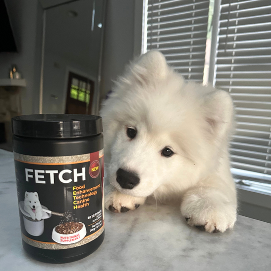 Premium AllNatural Dog Food Supplement Fetch