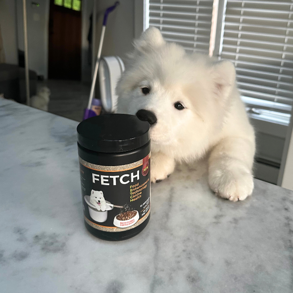 Premium AllNatural Dog Food Supplement Fetch