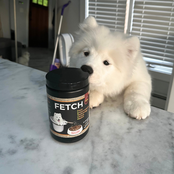 Fetch Dog Food Supplement